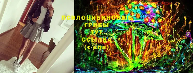 Псилоцибиновые грибы Psilocybine cubensis  OMG как зайти  Людиново 